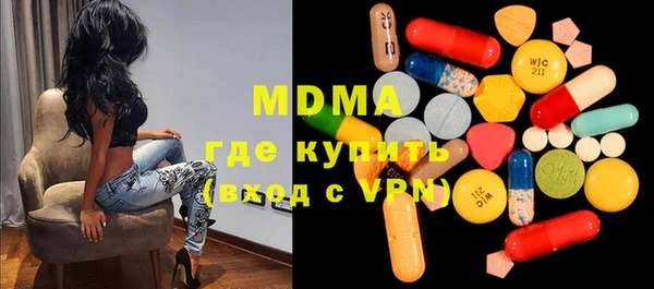 гашик Ельня