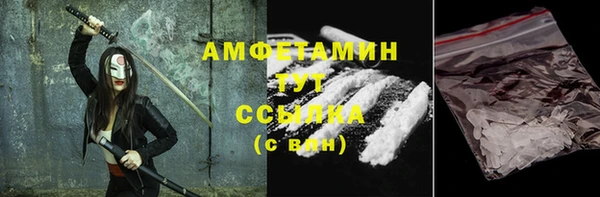 гашик Ельня