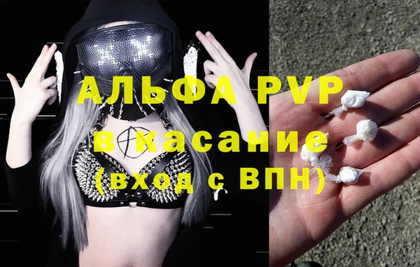 гашик Ельня