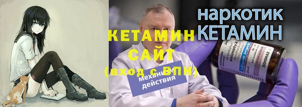 гашик Ельня