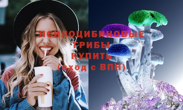 гашик Ельня