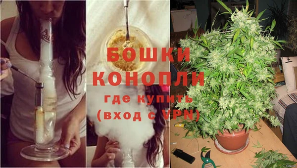 ПСИЛОЦИБИНОВЫЕ ГРИБЫ Елабуга