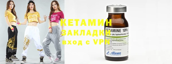 гашик Ельня