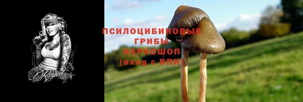 PSILOCYBIN Елизово