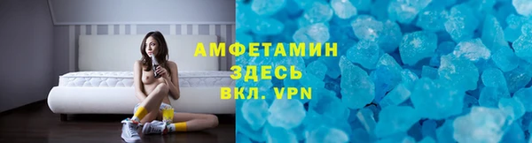 гашик Ельня