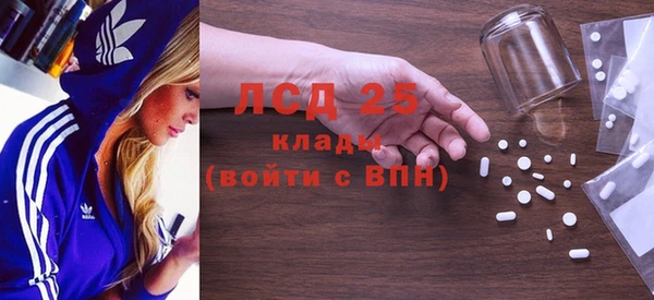 гашик Ельня