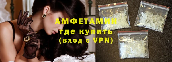 гашик Ельня