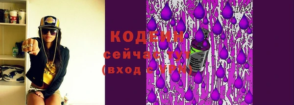 гашик Ельня