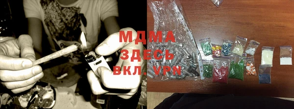гашик Ельня
