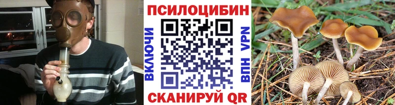 даркнет сайт  Калуга  Галлюциногенные грибы мицелий 